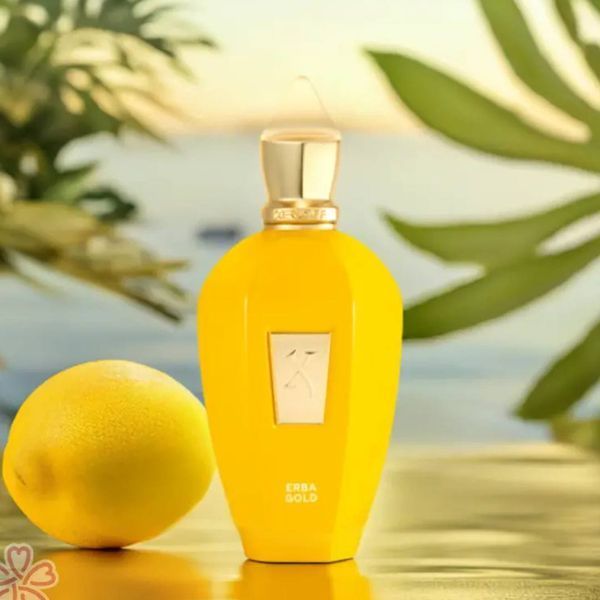LUX XERJOFF ERBA GOLD 1282 фото