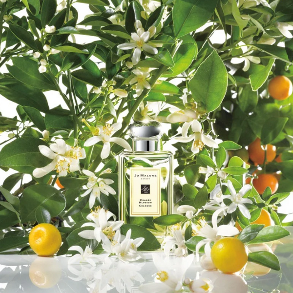 LUX JO MALONE BASIL & NEROLI 366 фото