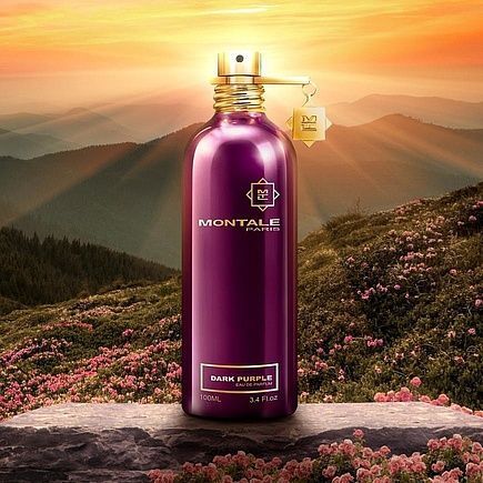 LUX MONTALE DARK PURPLE 279 фото